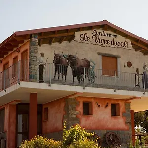 Le Vigne Ducali , Màndas Italie